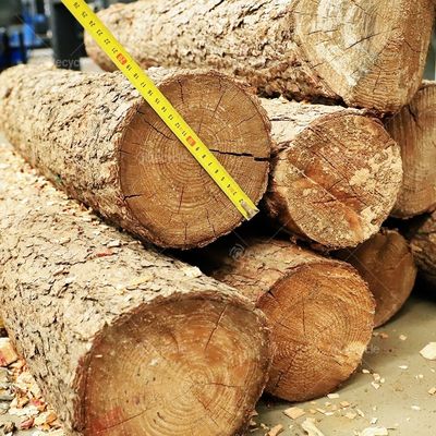 Easy to Operate Mobile Diesel Engine Wood Chipper Shredder for Tree Branch Chipping
