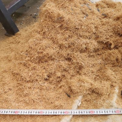 Customized Capacity 100-1500kg/h Shredding Machine for Plastic Film and Rubber Plates